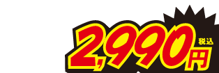 2990円