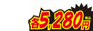 各5280円