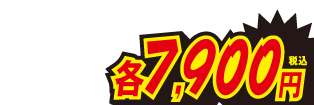 各7900円