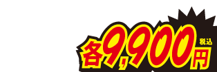 各9900円
